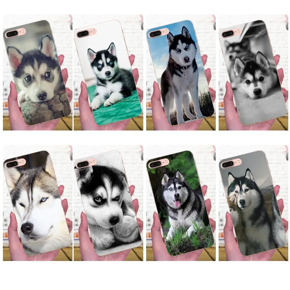 Мягкие чехлы из ТПУ Wacky Husky для телефонов Huawei P7 Honor 4C 5A 5C 5X 6 6C 6A 6X 7 7X 8 9 V8 V10 Y3II Y5II Y6II G8