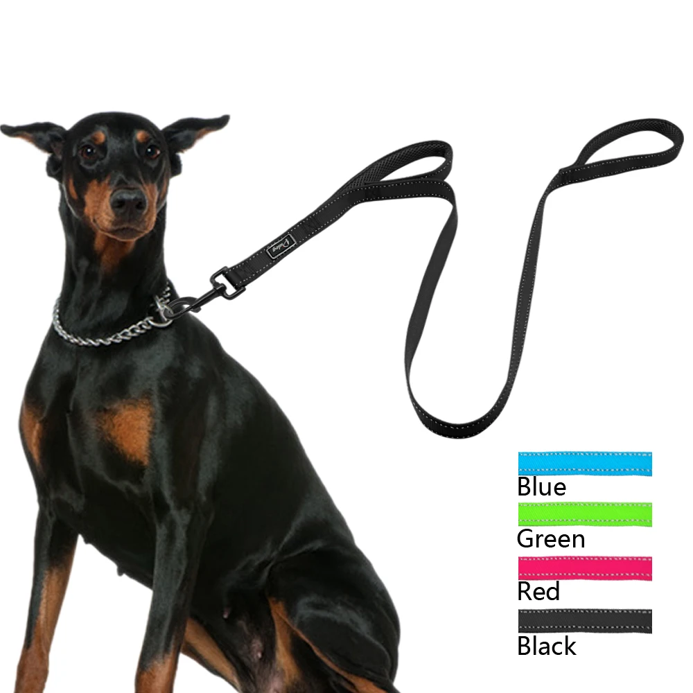 Reflective Nylon Dog Leash Heavy Duty Mesh Padded 2 Handle Leads Dogs leashes for Large Medium Pet Lightweight
Reflective Nylon Dog Leash Heavy Duty Mesh Padded 2 Handle Leads Dogs leashes for Large Medium Pet Lightweight