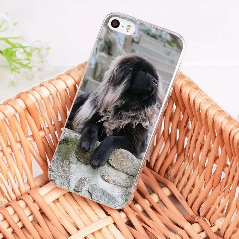 MaiYaCa Тибетский m Прозрачный мягкий ТПУ чехол для телефона iPhone 8 7 6 6S Plus X 10 5 5S SE 11pro max