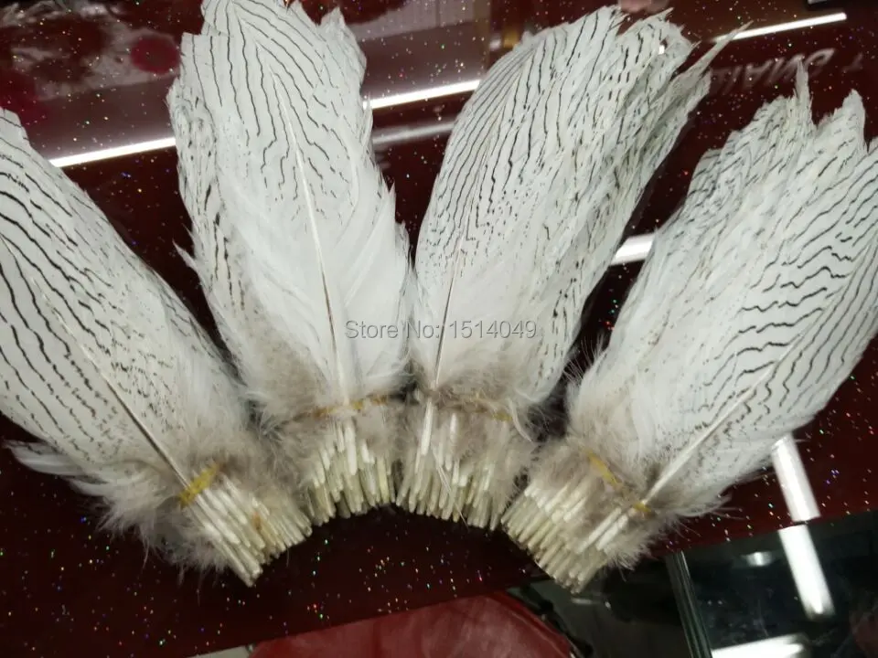 wholesale 50pcs beatiful natural silver chicken feather 15-20cm/6-8inch Decorative diy
wholesale 50pcs beatiful natural silver chicken feather 15-20cm/6-8inch Decorative diy