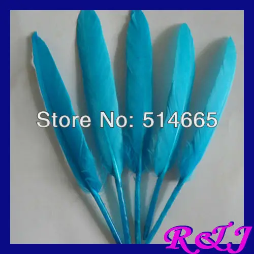 Wholesale geese feather 500pcs/lot Light Blue dyed goose Feather For Party Performance approx 4-6 inches 10-15cm
Wholesale geese feather 500pcs/lot Light Blue dyed goose Feather For Party Performance approx 4-6 inches 10-15cm
