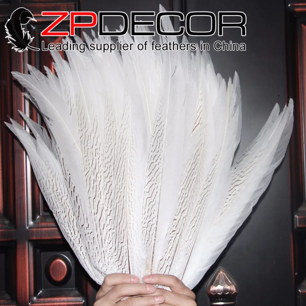 ZPDECOR 16-18 дюймов (40-45 см) 50 шт./лот хорошее качество белый отбеленный Серебряный фазан карнавальные костюмы с перьями
ZPDECOR 16-18 дюймов (40-45 см) 50 шт./лот хорошее качество белый отбеленный Серебряный фазан карнавальные костюмы с перьями