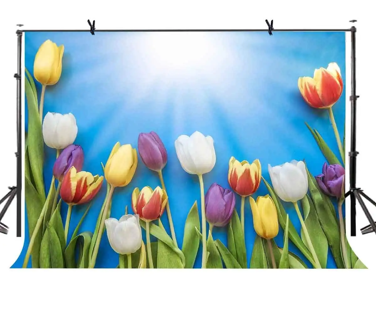 150x220cm Tulip Backdrop Sunshine Tulip Blue Photography Background for Camera Photo Props
150x220cm Tulip Backdrop Sunshine Tulip Blue Photography Background for Camera Photo Props