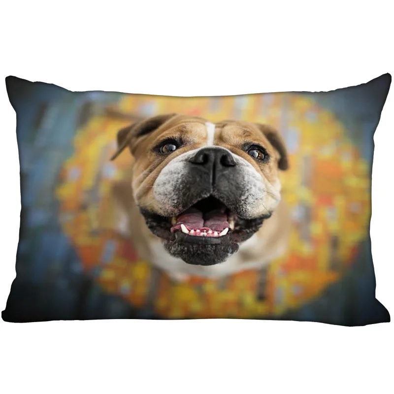 ShuanQian Custom English Bulldog New Pillowcase Rectangle Pillow Cover Zippered Soft No Fade Pillow Cover Christmas Gift
ShuanQian Custom English Bulldog New Pillowcase Rectangle Pillow Cover Zippered Soft No Fade Pillow Cover Christmas Gift