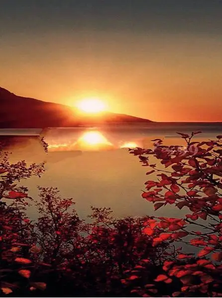 New Diamond mosaic full diamond embroidery sunset scenery lake stickers diamond painting cross stitch handwork
New Diamond mosaic full diamond embroidery sunset scenery lake stickers diamond painting cross stitch handwork