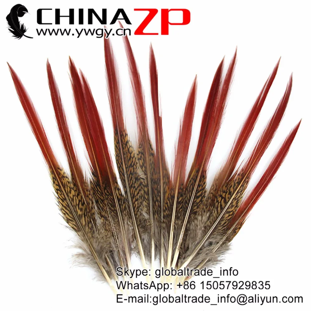 ZPDECOR Cheap and Good Quality 50pieces/lot 15~20cm Golden Pheasant Red Tips Loose Feather
ZPDECOR Cheap and Good Quality 50pieces/lot 15~20cm Golden Pheasant Red Tips Loose Feather