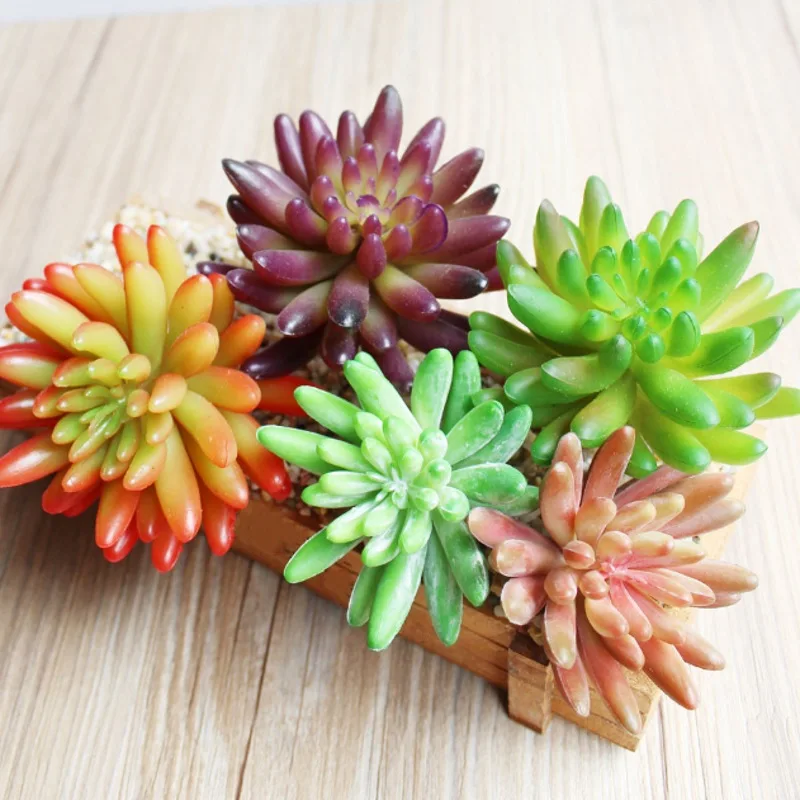 Искусственные растения-суккуленты Sedum, 1 шт., «сделай сам», искусственные цветы, украшения для суккулентов, для свадьбы, домашнего сада, Декор
Искусственные растения-суккуленты Sedum, 1 шт., «сделай сам», искусственные цветы, украшения для суккулентов, для свадьбы, домашнего сада, Декор