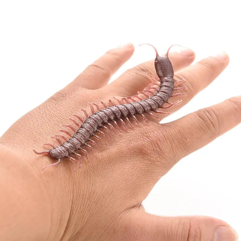 Halloween Haunted House Funny Spoof Toy Simulation Fashion Centipede False For Party Fun Toys 0011
Halloween Haunted House Funny Spoof Toy Simulation Fashion Centipede False For Party Fun Toys 0011