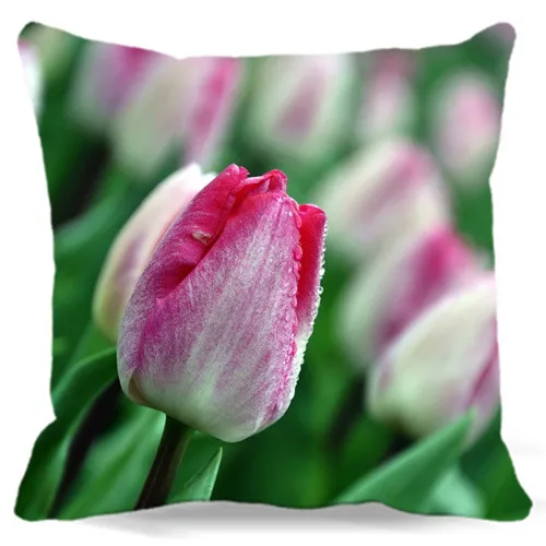 Flowers Cushion Covers Cotton Polyester Natural Decorative Throw Pillow Cover for Sofa Decor Pillow Cases
Flowers Cushion Covers Cotton Polyester Natural Decorative Throw Pillow Cover for Sofa Decor Pillow Cases