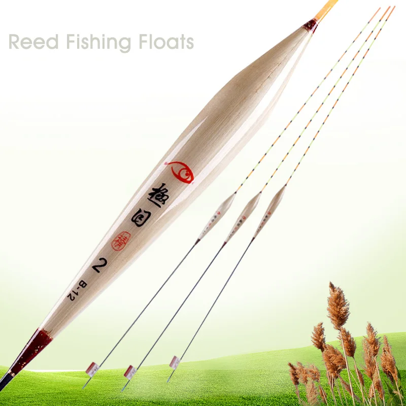 Crucian&Carp Preferred Reed Fishing Floats 1-3# Long Tail Flotador Pesca Boyas Stoppers Bobbers Fishing Accessories Tools(B-12)
Crucian&Carp Preferred Reed Fishing Floats 1-3# Long Tail Flotador Pesca Boyas Stoppers Bobbers Fishing Accessories Tools(B-12)