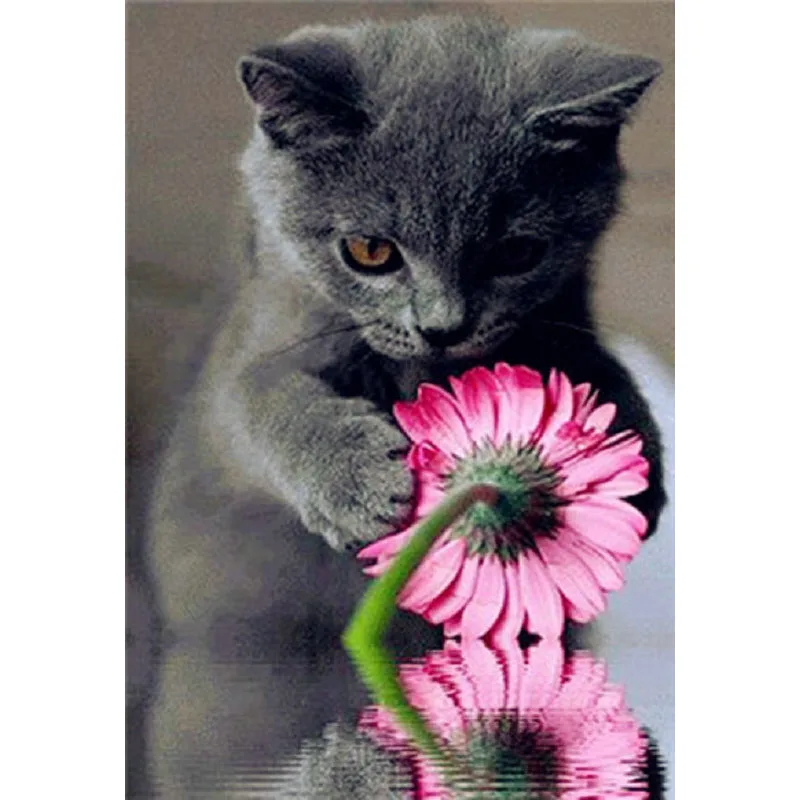 YIKEE 5d Diamond Painting Black Cat 5D DIY Diamond Embroidery Mosaic Picture Of Rhinestone Decoration Home k811
YIKEE 5d Diamond Painting Black Cat 5D DIY Diamond Embroidery Mosaic Picture Of Rhinestone Decoration Home k811