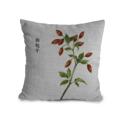 45x45cm Fructus Lycii Patterns Custom Medlar Printing Sofa Cushion Covers for Home Decor
