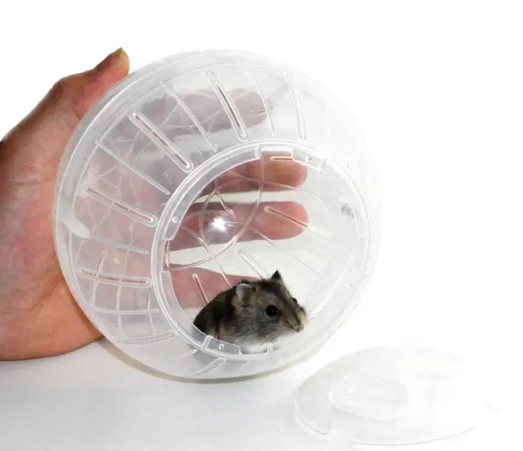 HobbyLane 10cm Plastic Pet Rodent Mice Jogging Ball Toy Hamster Gerbil Rat Exercise Balls Play Toys
HobbyLane 10cm Plastic Pet Rodent Mice Jogging Ball Toy Hamster Gerbil Rat Exercise Balls Play Toys