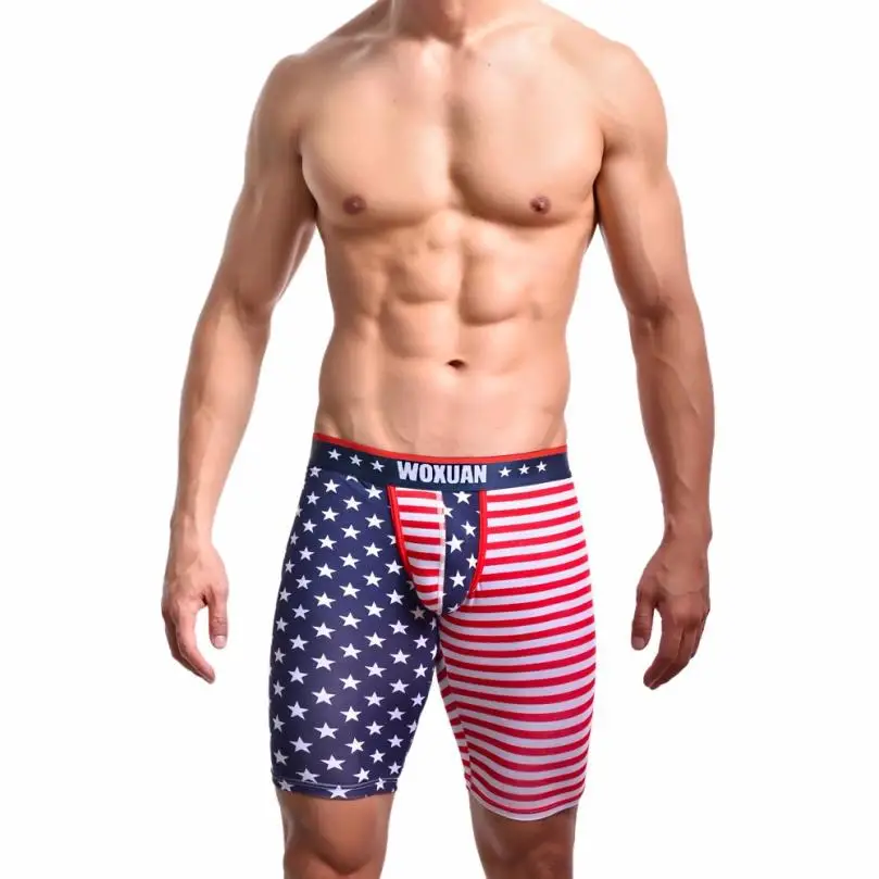NE5 поступление мужское нижнее белье трусы-боксеры Calzoncillos флаг США шорты средней