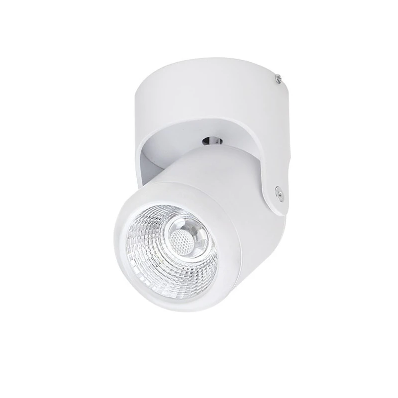 110V 220V Input 3W/5W/7W/10W/12W/15W/20W LED surface mounted ceiling lamp rotatable COB background spot light For indoor use
110V 220V Input 3W/5W/7W/10W/12W/15W/20W LED surface mounted ceiling lamp rotatable COB background spot light For indoor use