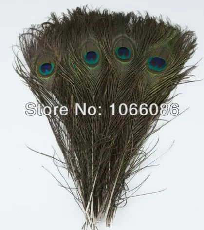 Free Shipping! 50pcs/lot 25-30cm Natural color Big peacock Eye Top quality peacock feather natural peacock feathers plumes
Free Shipping! 50pcs/lot 25-30cm Natural color Big peacock Eye Top quality peacock feather natural peacock feathers plumes