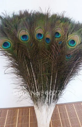 EMS Free Shipping Wholesale 200pcs 90-100cm 35-40 inches natural peacock feather peacock plume peacock plumage
EMS Free Shipping Wholesale 200pcs 90-100cm 35-40 inches natural peacock feather peacock plume peacock plumage