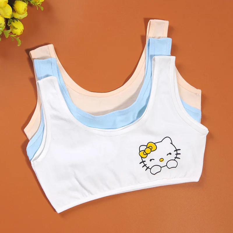 5pcs/Lot Girls Underwear Training Bras For Girl Cotton Underwear Sports Bra Top For Teens Adolescente 8-12 Years Lingerie
5pcs/Lot Girls Underwear Training Bras For Girl Cotton Underwear Sports Bra Top For Teens Adolescente 8-12 Years Lingerie