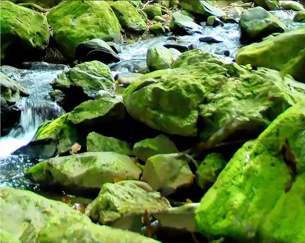 Custom mural 3d wallpaper oil painting landscape forest home decoration painting picture 3d wall murals wallpaper for wall 3 d 
Custom mural 3d wallpaper oil painting landscape forest home decoration painting picture 3d wall murals wallpaper for wall 3 d