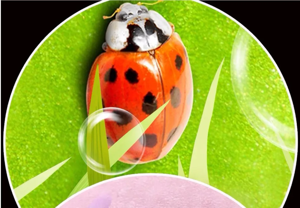 Custom mural 3d photo wallpaper picture leaf lady beetle home decor painting 3d wall murals wallpaper for living room walls 3 d
Custom mural 3d photo wallpaper picture leaf lady beetle home decor painting 3d wall murals wallpaper for living room walls 3 d