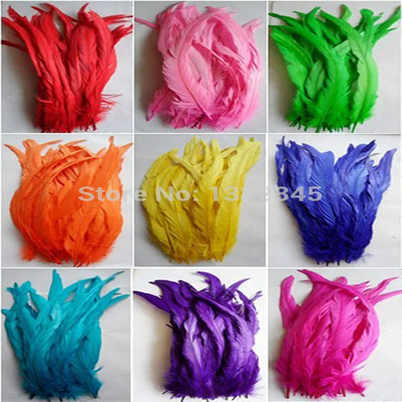 100pcs 25-35cm dyed color mix chicken rooster cock tail plume feathers for jewelery clothing making
100pcs 25-35cm dyed color mix chicken rooster cock tail plume feathers for jewelery clothing making