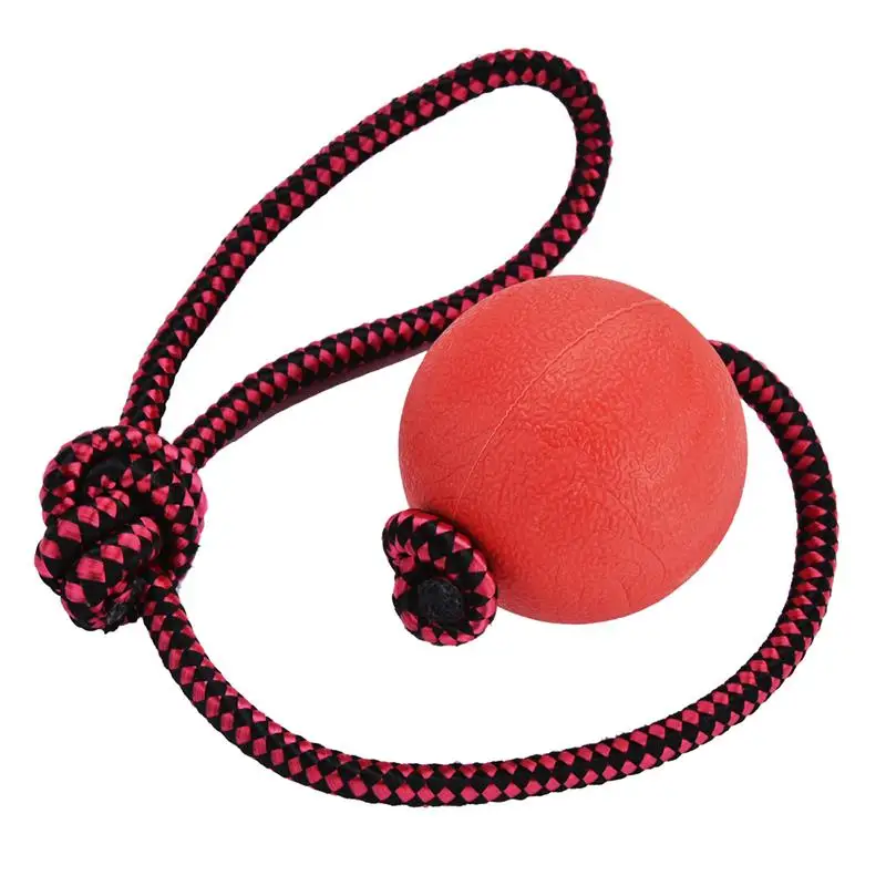Dog Ball Elastic Bite Resistant Interactive Chewing Ball Dog Training Ball Dog Toy Ball with Rope
Dog Ball Elastic Bite Resistant Interactive Chewing Ball Dog Training Ball Dog Toy Ball with Rope