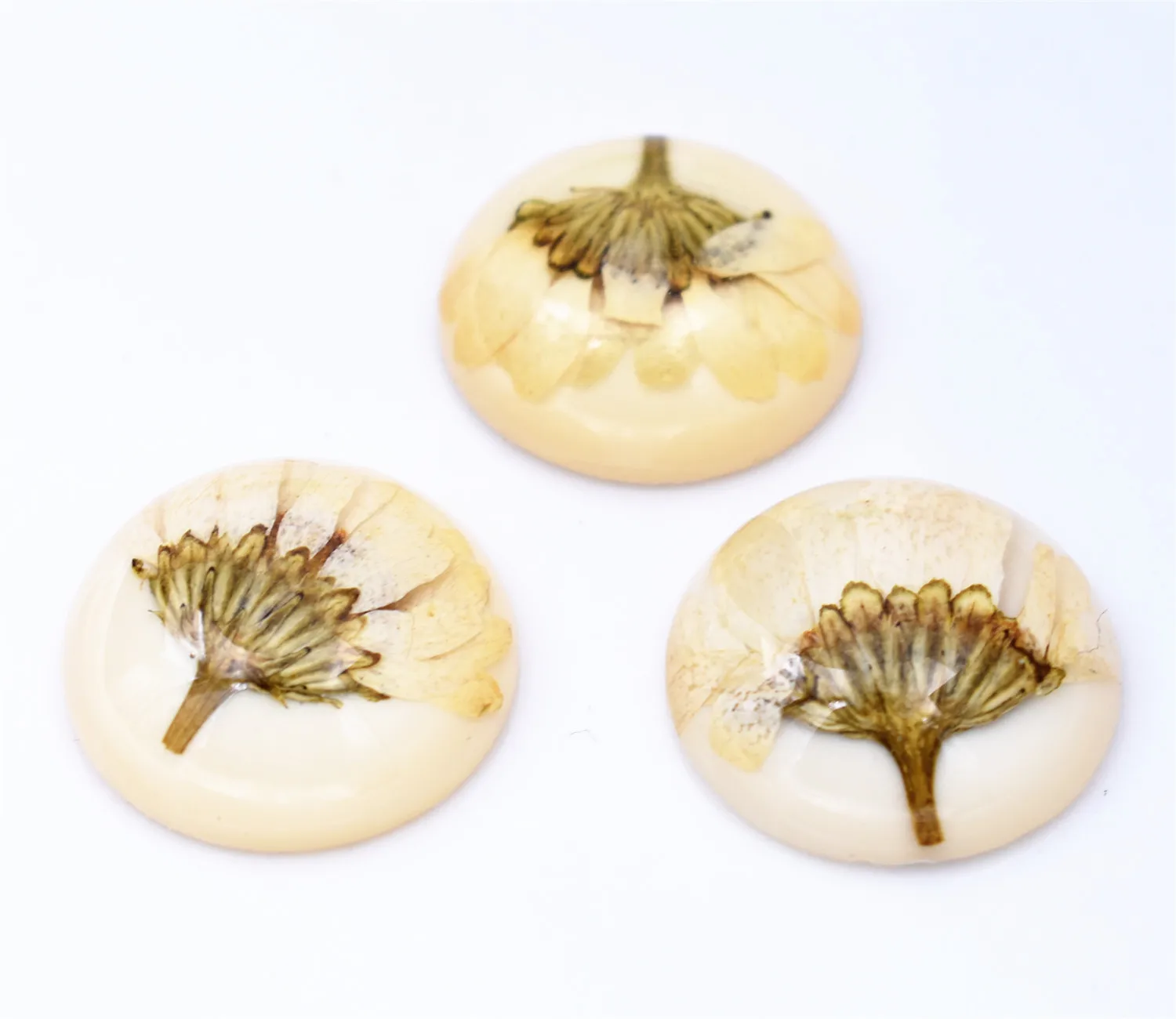 New Fashion 5pcs 25mm Natural Dried Flowers Flat Back Resin Cabochons Cameo-F1-06
New Fashion 5pcs 25mm Natural Dried Flowers Flat Back Resin Cabochons Cameo-F1-06