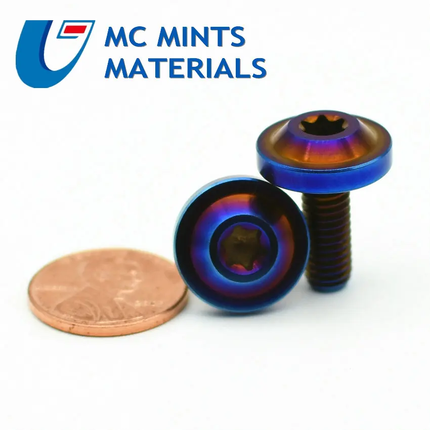 Titanium Bolt for Riding Shell Modification M6 x10-30mm Ti Bolt Pan Torx Head Burned Blue Color TC4 Ti Screw Ti Fastener 2/6pcs
Titanium Bolt for Riding Shell Modification M6 x10-30mm Ti Bolt Pan Torx Head Burned Blue Color TC4 Ti Screw Ti Fastener 2/6pcs