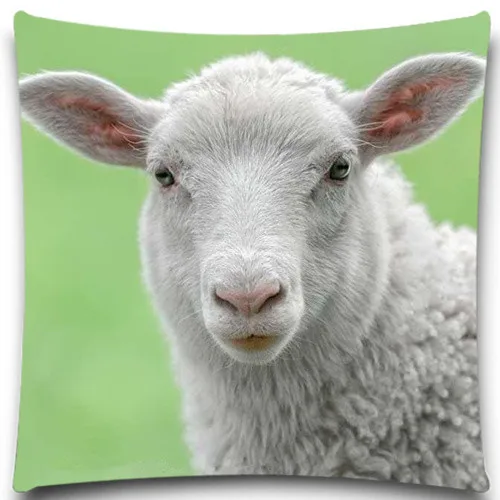 Square 5 size 9 style Fashion Cotton & polyester Animals pig sheep cow Pillow Case Home Decorative sofa car Hot
Square 5 size 9 style Fashion Cotton & polyester Animals pig sheep cow Pillow Case Home Decorative sofa car Hot