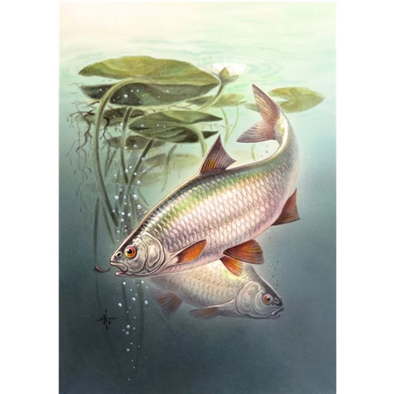 Animals,fish,3D DIY,full square,diamond painting,Round,embroidery,mosaic,special shape,rhinestones pictures,Home decoration
Animals,fish,3D DIY,full square,diamond painting,Round,embroidery,mosaic,special shape,rhinestones pictures,Home decoration