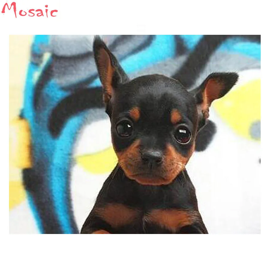 Miniature Pinscher 5D Diamond Painting Full Square cute pet Animal Diamond Embroidery dog Diamond Mosaic Home Decoration Gift
Miniature Pinscher 5D Diamond Painting Full Square cute pet Animal Diamond Embroidery dog Diamond Mosaic Home Decoration Gift