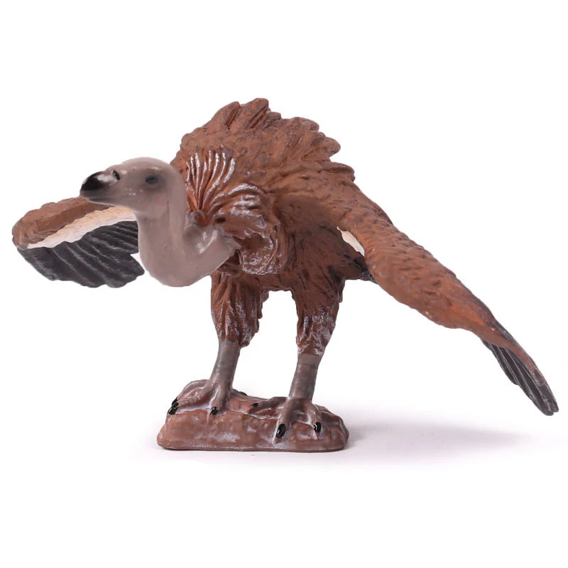 Action&Toy Figure Wildlife Animal The Vultutes Simulation PVC Model Collectible Doll Figure Collection For Kid Children Gift
Action&Toy Figure Wildlife Animal The Vultutes Simulation PVC Model Collectible Doll Figure Collection For Kid Children Gift