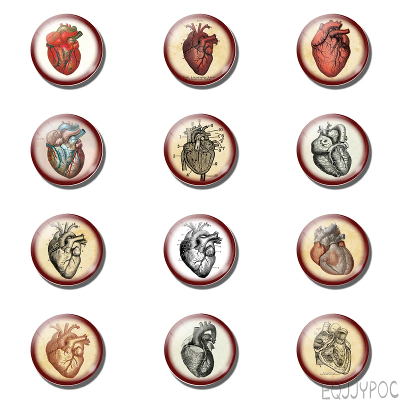 12pcs Heart Anatomy 25MM 30MM Fridge Magnet Steampunk Doctor Student Glass Note Holder Magnetic Refrigerator Stickers Home Decor
12pcs Heart Anatomy 25MM 30MM Fridge Magnet Steampunk Doctor Student Glass Note Holder Magnetic Refrigerator Stickers Home Decor