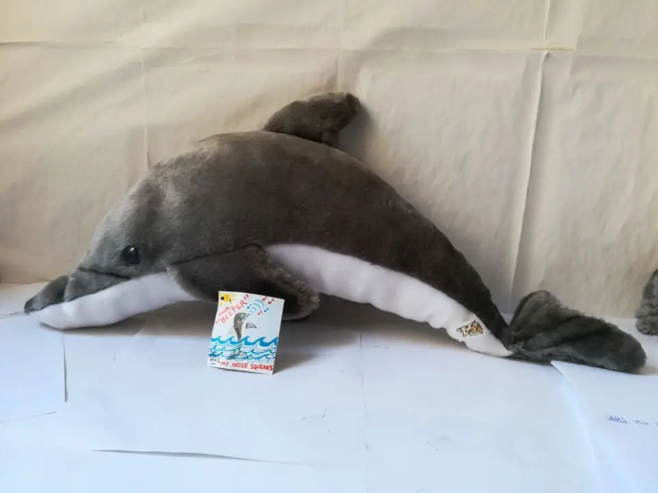 large 50cm gray dolphin plush toy cartoon dolphin soft doll pillow toy ,Christmas gift b2558
large 50cm gray dolphin plush toy cartoon dolphin soft doll pillow toy ,Christmas gift b2558