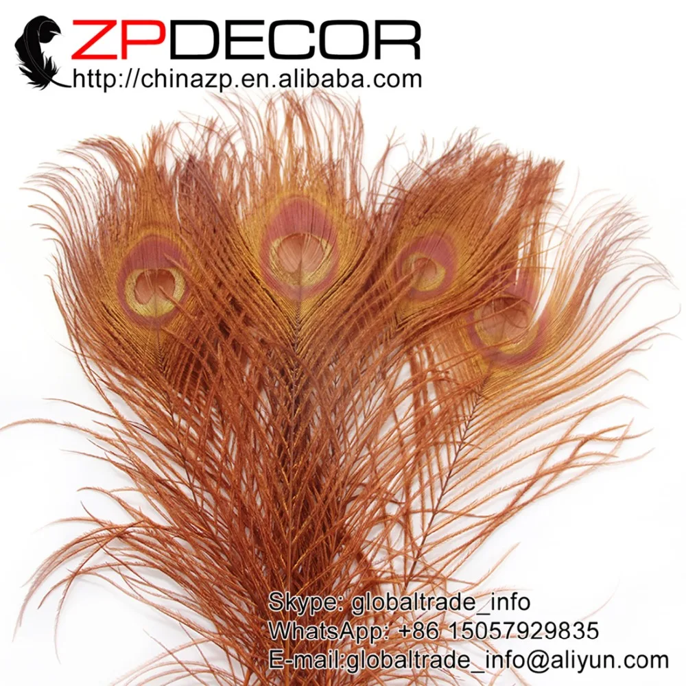 ZPDECOR 50pcs/lot 25-30cm(12-14inch) Premium Quality Hand Select Brown Peacock Feather for Wedding Decoration Accessories
ZPDECOR 50pcs/lot 25-30cm(12-14inch) Premium Quality Hand Select Brown Peacock Feather for Wedding Decoration Accessories