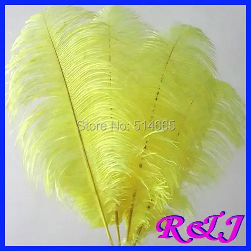 EMS Free shipping Cheap ostrich feather 100pcs 20-22 inches 50-55cm Yellow Ostrich plumage ostrich plume
EMS Free shipping Cheap ostrich feather 100pcs 20-22 inches 50-55cm Yellow Ostrich plumage ostrich plume