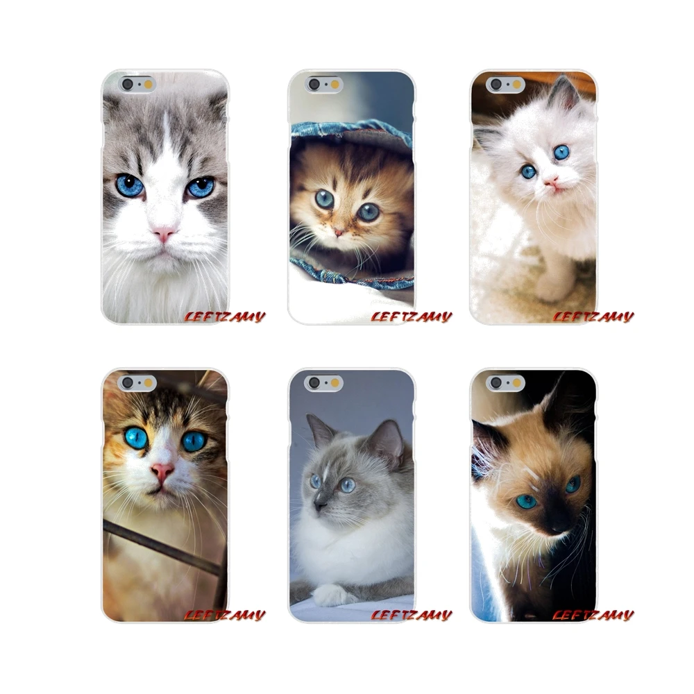 Фото Pet ragdoll cat blue eyes мобильный чехол для телефона Xiaomi Redmi Note 6A MI8 Pro S2 A2 Lite Se MIx Макс 2 3 F1