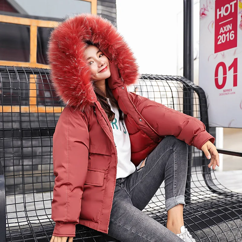 New Thicken Parkas Woman Winter Harajuku Women Parka Warm Clothes Short Chaqueta Mujer Casual Basic Coat Jackets Casaco Feminino
New Thicken Parkas Woman Winter Harajuku Women Parka Warm Clothes Short Chaqueta Mujer Casual Basic Coat Jackets Casaco Feminino