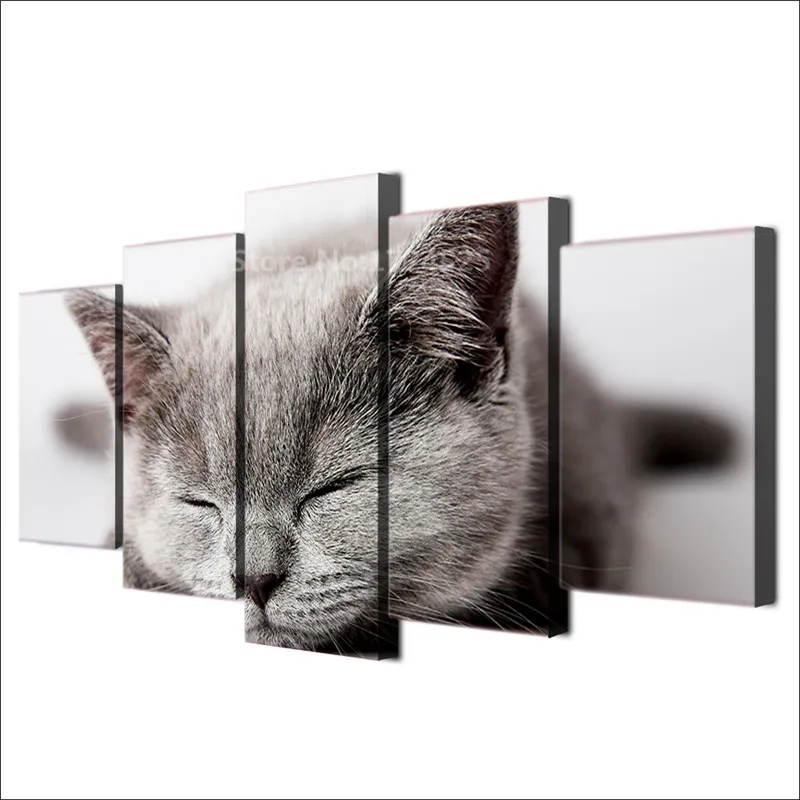 Unframed Canvas Wall Art Pictures HD Printed Cute Animal Painting Modern Living Room Poster Decor 5 Pcs Home Decoration Picture
Unframed Canvas Wall Art Pictures HD Printed Cute Animal Painting Modern Living Room Poster Decor 5 Pcs Home Decoration Picture