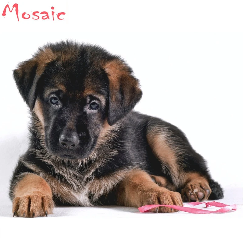 5D DIY Алмазная картина животных, собак, детенышей, немецких пастухов квадратная Алмазная вышивка наборы фотографии кристаллов домашний декор 
5D DIY Алмазная картина животных, собак, детенышей, немецких пастухов квадратная Алмазная вышивка наборы фотографии кристаллов домашний декор