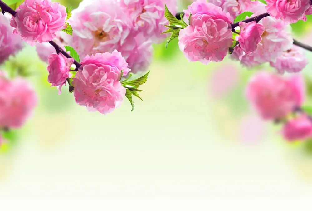 Custom any size 3d curtains Beautiful pink flower custain Photo custom curtains home decor decoration
Custom any size 3d curtains Beautiful pink flower custain Photo custom curtains home decor decoration