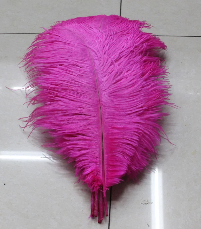 wholesale Quality 10pcs perfect Leniency Male Mei red natural ostrich feather 12-14inch/30-35cm decorative diy
wholesale Quality 10pcs perfect Leniency Male Mei red natural ostrich feather 12-14inch/30-35cm decorative diy