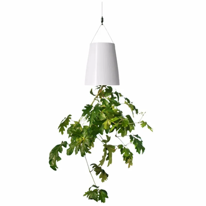 Creative Hanging Inverted Sky Plant Flower Pot Automatic Watering Hanging Upside Down Plastic Small Flowerpot for Family Garden
Creative Hanging Inverted Sky Plant Flower Pot Automatic Watering Hanging Upside Down Plastic Small Flowerpot for Family Garden