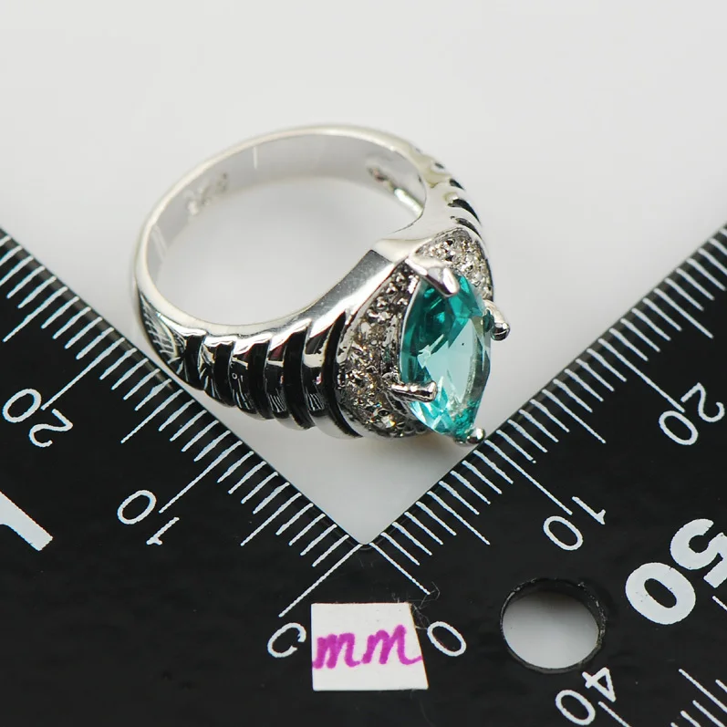 Blue Crystal Zircon White Crystal Zircon Women 925 Sterling Silver Ring F952 Size 6 7 8 9 10
Blue Crystal Zircon White Crystal Zircon Women 925 Sterling Silver Ring F952 Size 6 7 8 9 10