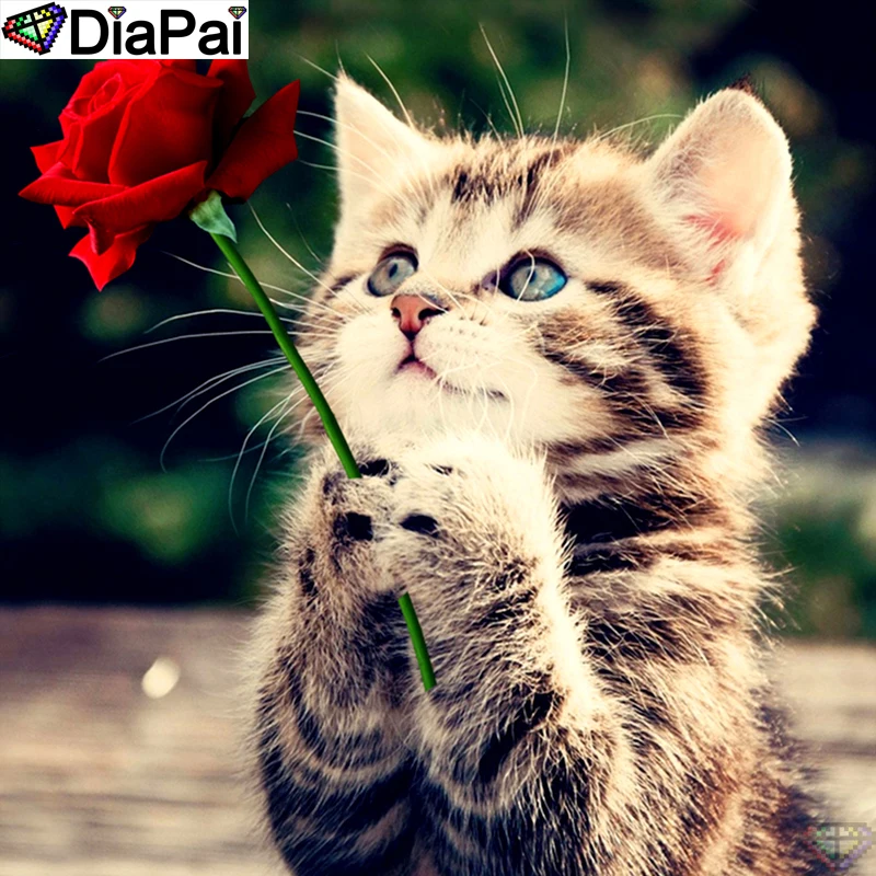 DiaPai Diamond Painting 5D DIY 100% Full Square/Round Drill "Animal cat flower" Diamond Embroidery Cross Stitch 3D Decor A24756
DiaPai Diamond Painting 5D DIY 100% Full Square/Round Drill "Animal cat flower" Diamond Embroidery Cross Stitch 3D Decor A24756