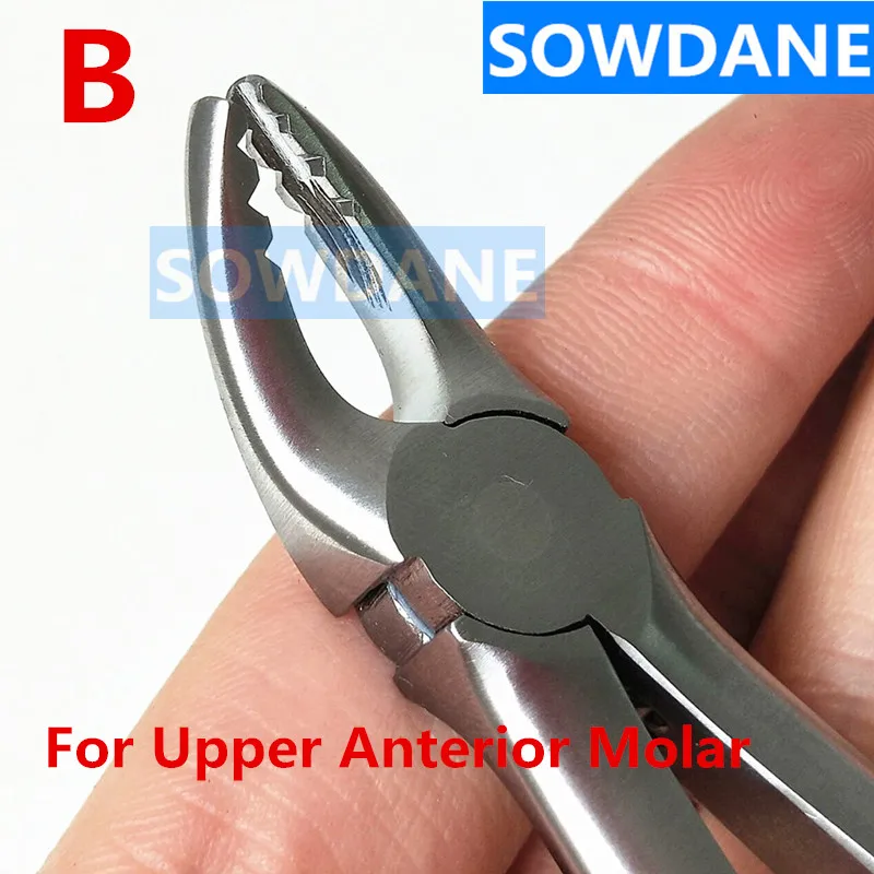 Stainless Steel Dental Extracting Forceps Children Teeth Extraction Pliers For Upper Anterior Molar Tooth dental Instrument
Stainless Steel Dental Extracting Forceps Children Teeth Extraction Pliers For Upper Anterior Molar Tooth dental Instrument