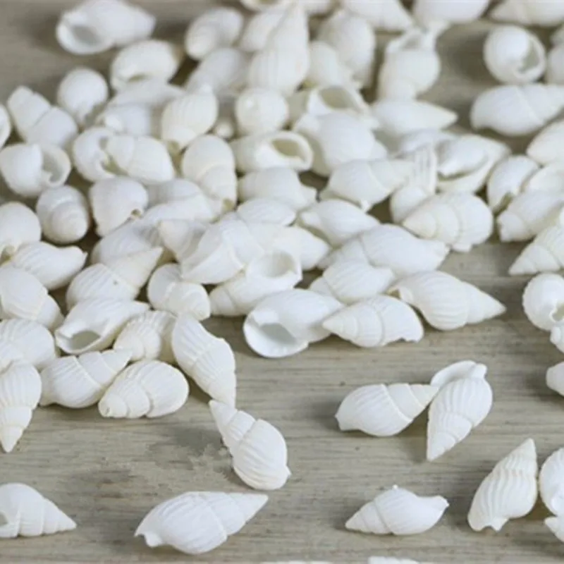 Free shipping 200pcs/lot 100% natural white color1 to 2cm sea shell snail/trumpet shell wedding/festival/party decoration
Free shipping 200pcs/lot 100% natural white color1 to 2cm sea shell snail/trumpet shell wedding/festival/party decoration