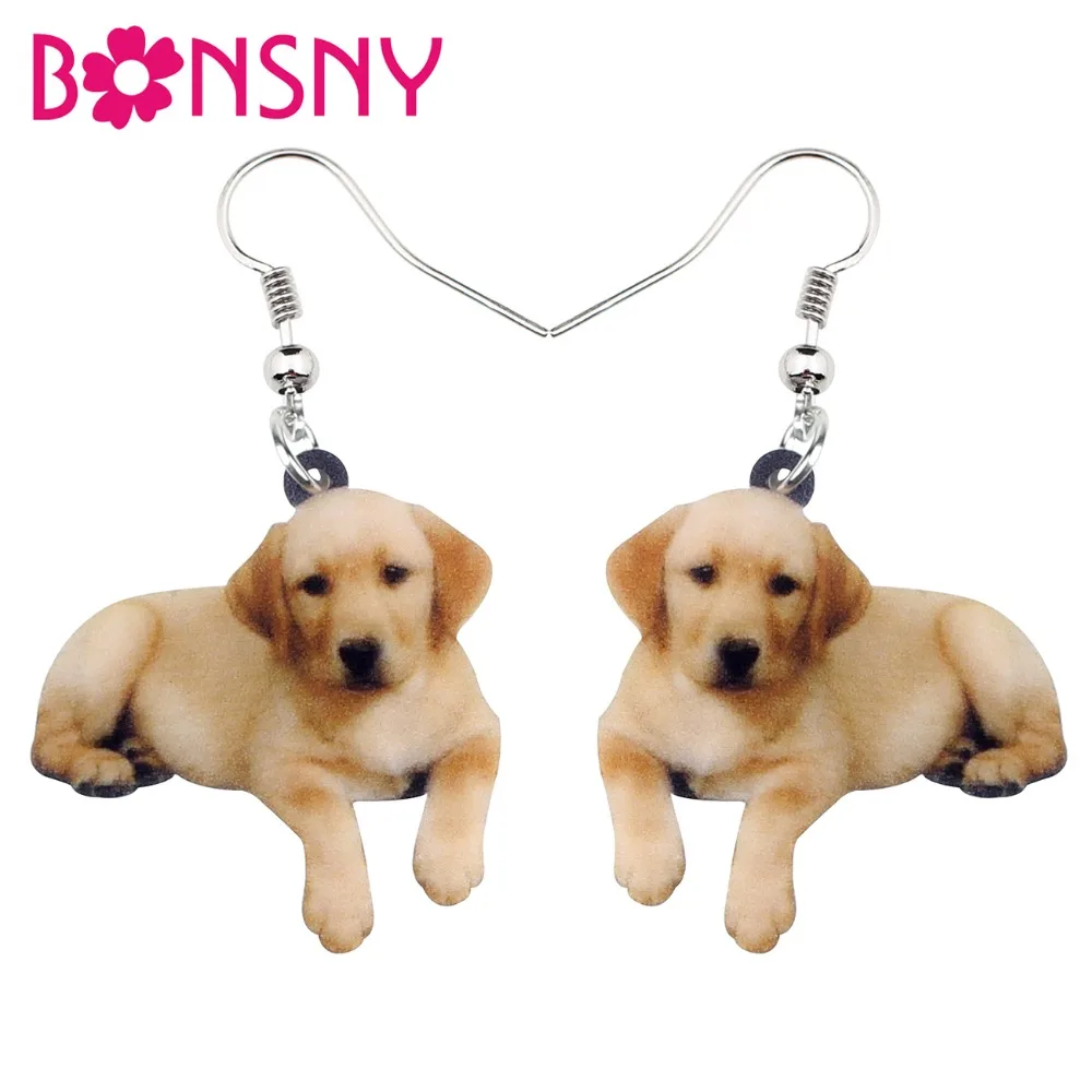 Bonsny Statement Acrylic Labrador Retriever Dog Earrings Dangle Drop Cute Animal Jewelry For Women Girls Pet Lovers Accessories
Bonsny Statement Acrylic Labrador Retriever Dog Earrings Dangle Drop Cute Animal Jewelry For Women Girls Pet Lovers Accessories