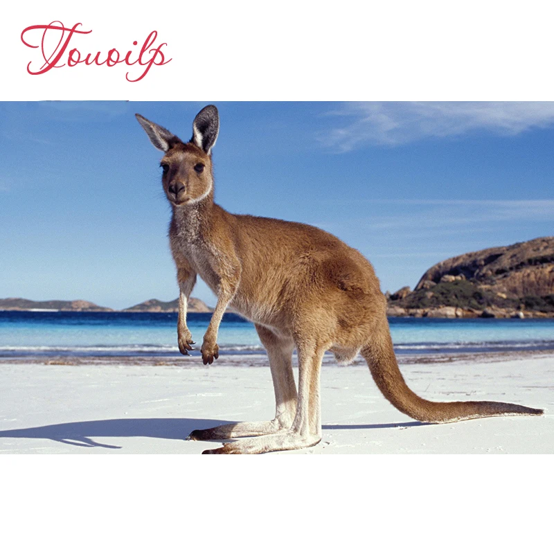 5D Diamond Painting animals kangaroo pattern Crystal Diamond embroidery Cross Stitch Sloth picture Needlework Home Decoration
5D Diamond Painting animals kangaroo pattern Crystal Diamond embroidery Cross Stitch Sloth picture Needlework Home Decoration