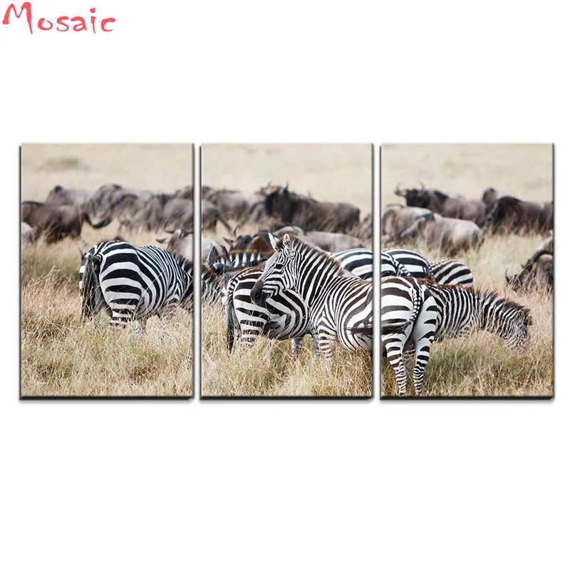 Полностью Квадратный бриллиант, 5D Картина 3 шт. Wildebeest Зебра пастбища африканская Алмазная мозаика картина горный хрусталь Алмазная вышивка
Полностью Квадратный бриллиант, 5D Картина 3 шт. Wildebeest Зебра пастбища африканская Алмазная мозаика картина горный хрусталь Алмазная вышивка